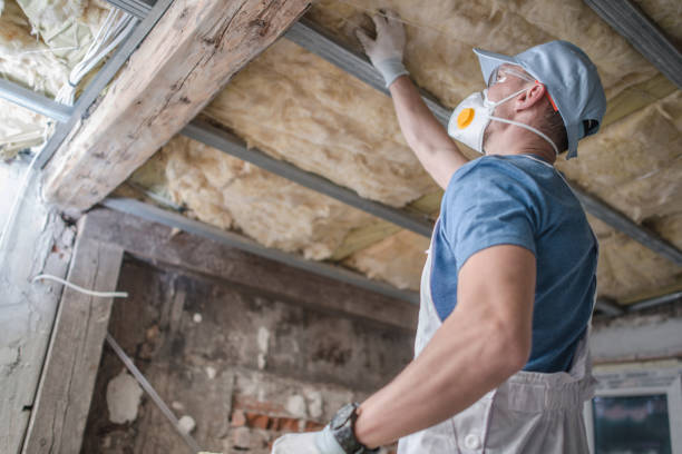 Best Insulation Maintenance and Repair in Anacortes, WA